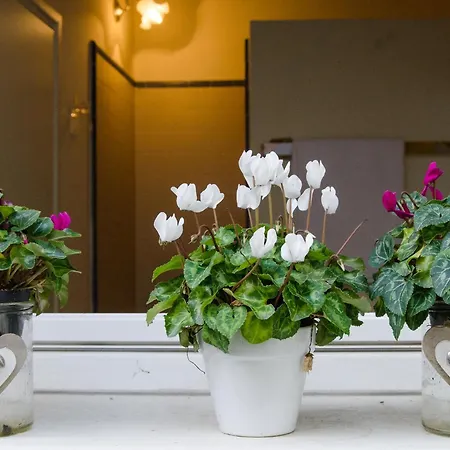 לינה וארוחת בוקר Il Bagattino 4*