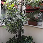 Frühstückspension Il Bagattino