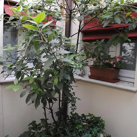 Bed & Breakfast Il Bagattino