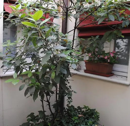Bed & Breakfast Il Bagattino